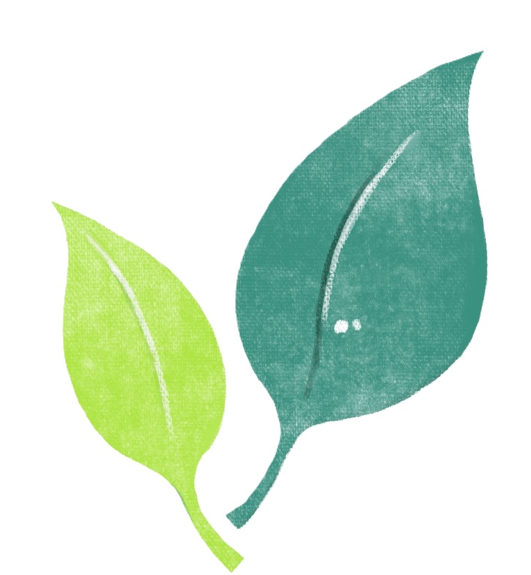 葉っぱのイラスト